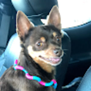 Meet your Posher, Alexia